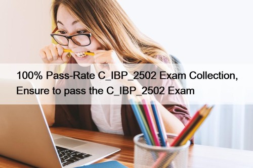 100% Pass-Rate C_IBP_2502 Exam Collection, Ensure to pass the C_IBP_2502 Exam