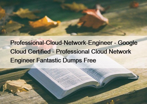 Professional-Cloud-Network-Engineer - Google Cloud Certified - Professional Cloud Network Engineer Fantastic Dumps Free